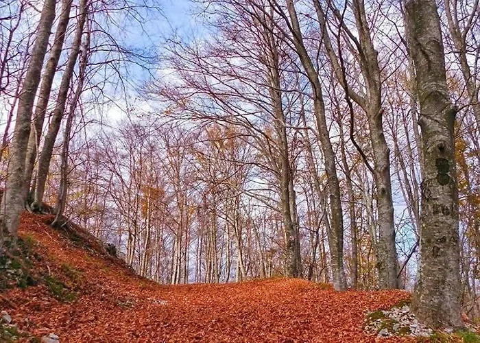 Villa Mare & Monti Istra